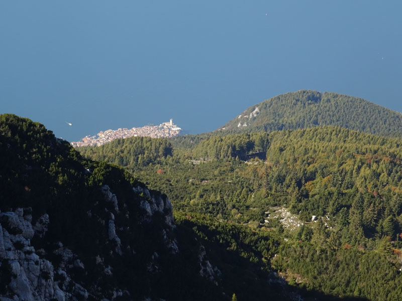 Cima delle Pozzette  m.2132 - Gruppo del Monte Baldo (VR)